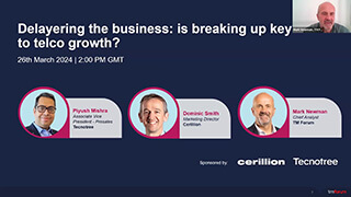 Delayering webinar - promo image